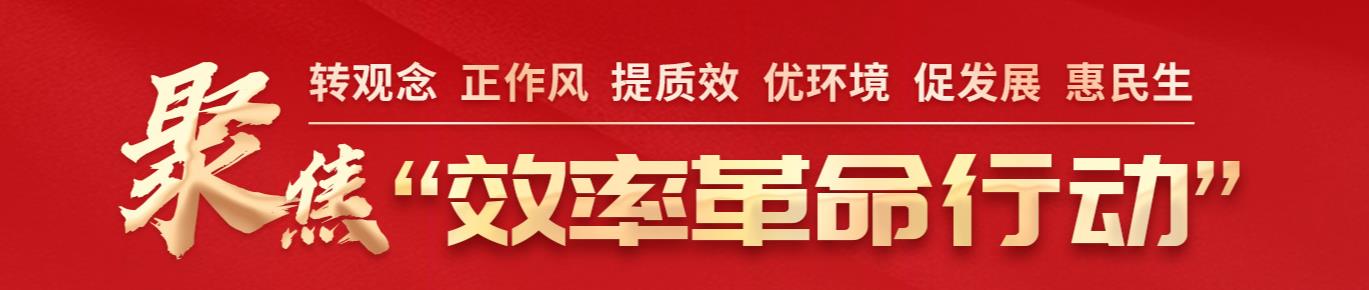 效率革命行动
