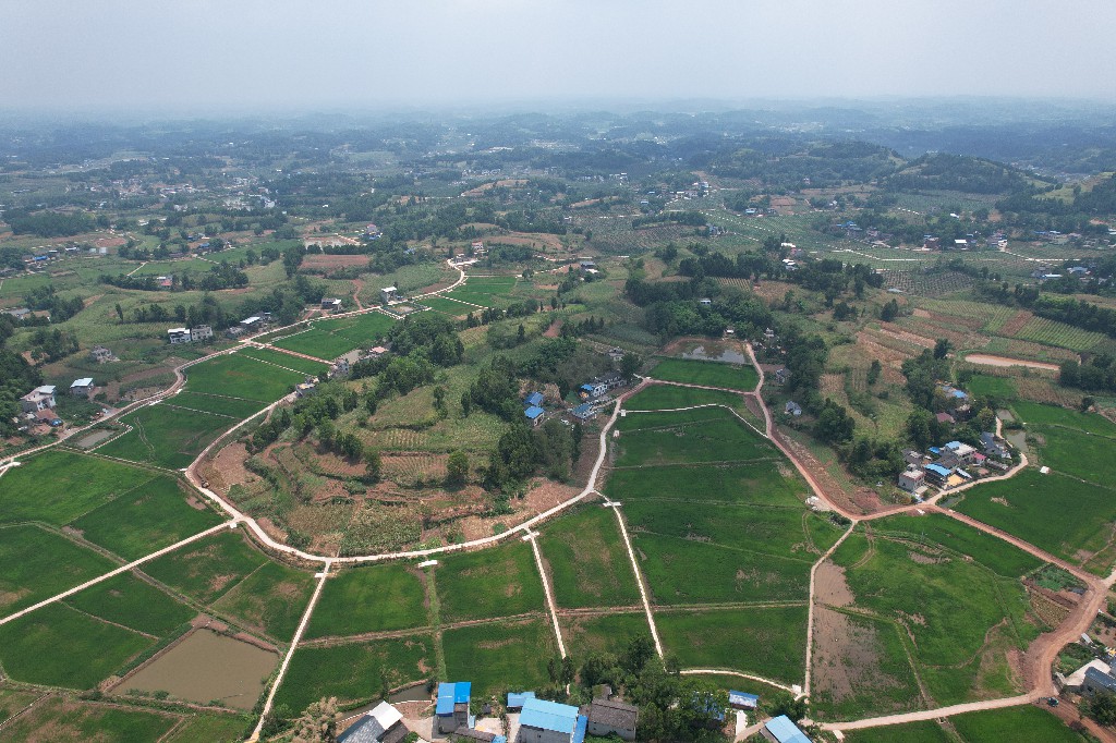 2022-09-05-大英县蓬莱镇-桅杆坝村-粮油产业园-拍摄张昌明-dji_export_1659505073005 .jpg