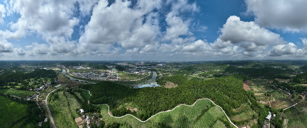 DJI_0893.jpg
