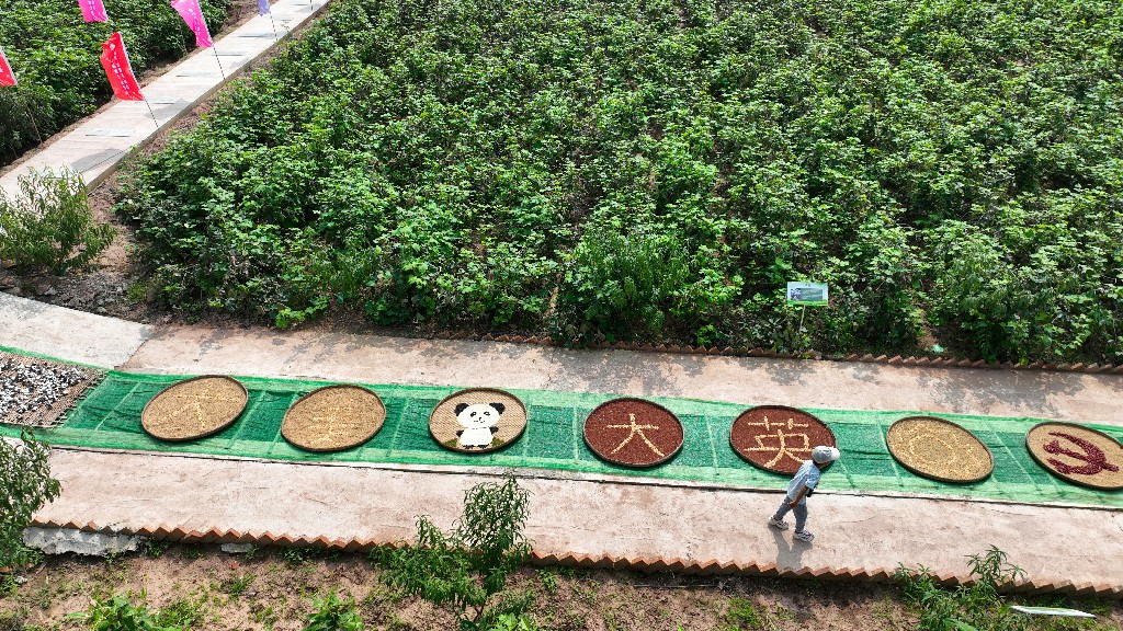 2022-10-01-象山镇凤阳村-拍摄张昌明-DJI_0936.jpg