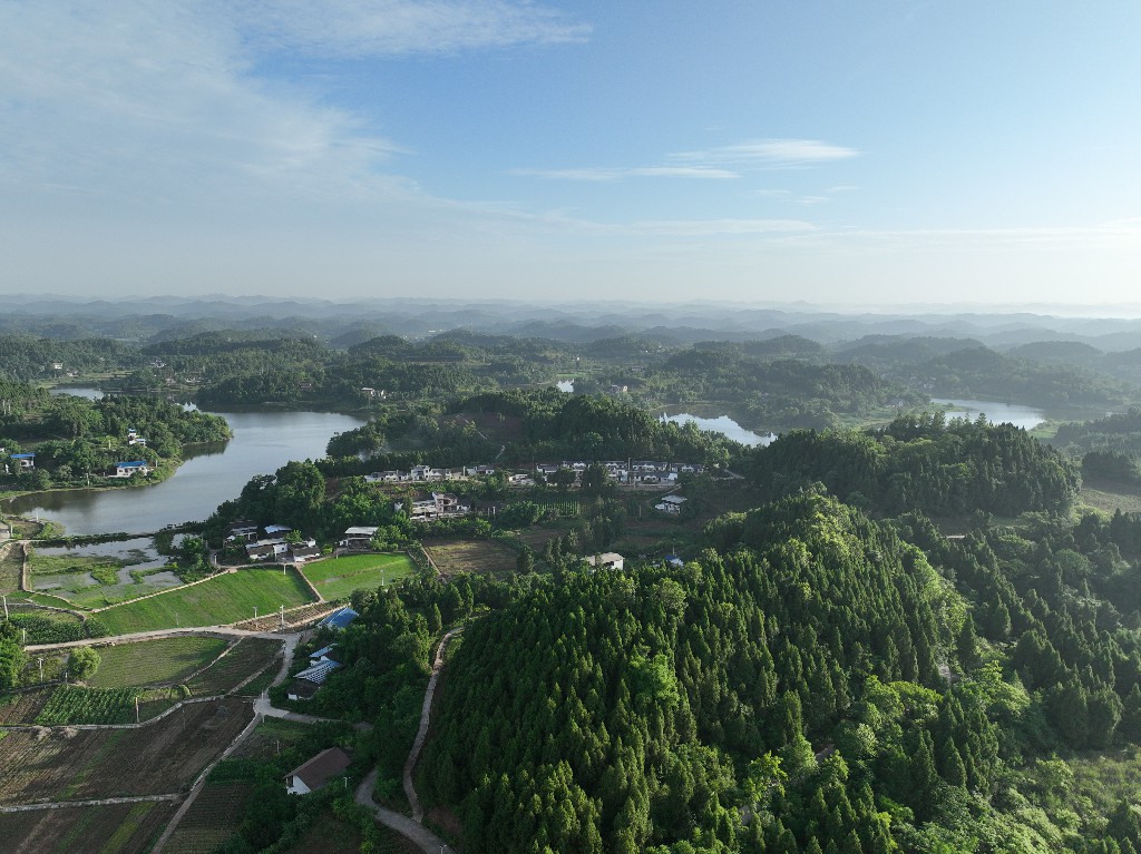 20220703玉峰镇斗笠村DJI_0040.jpg