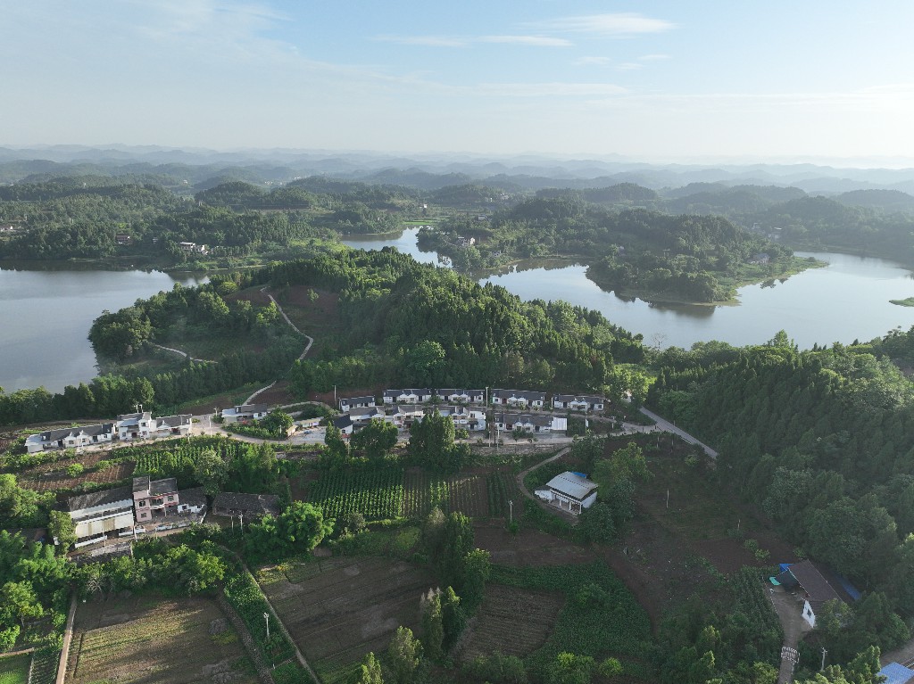 20220703玉峰镇斗笠村DJI_0042.jpg