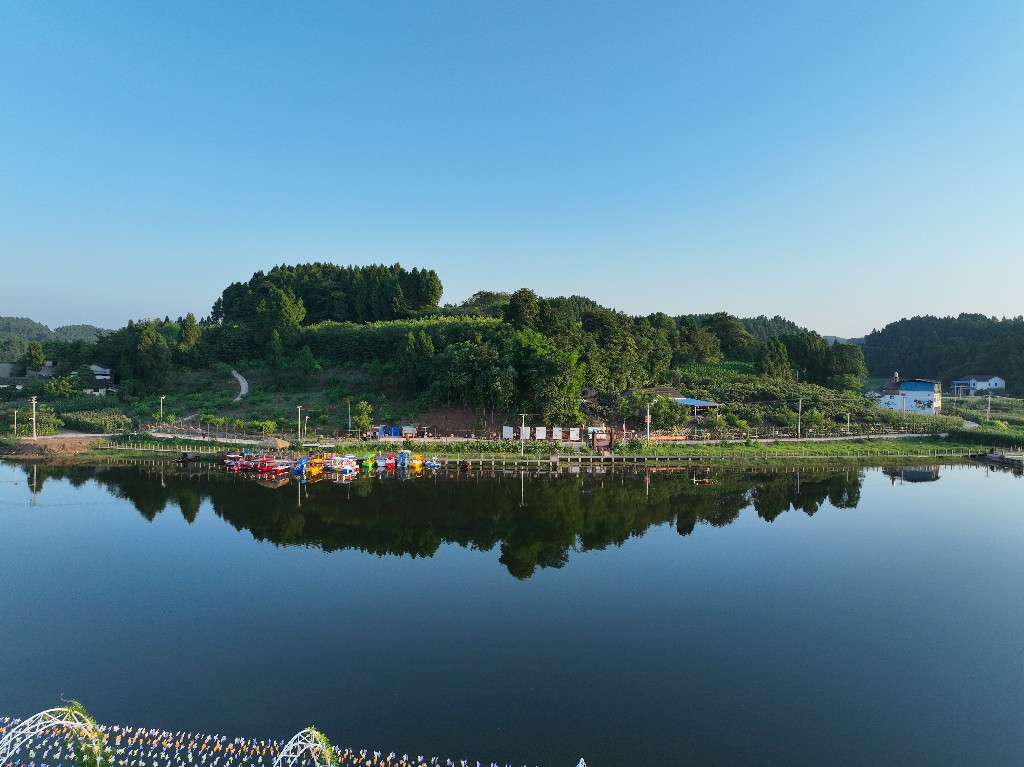 20220703玉峰镇斗笠村DJI_0057.jpg