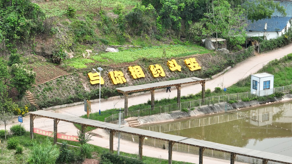 20220703玉峰镇斗笠村DJI_0434.jpg