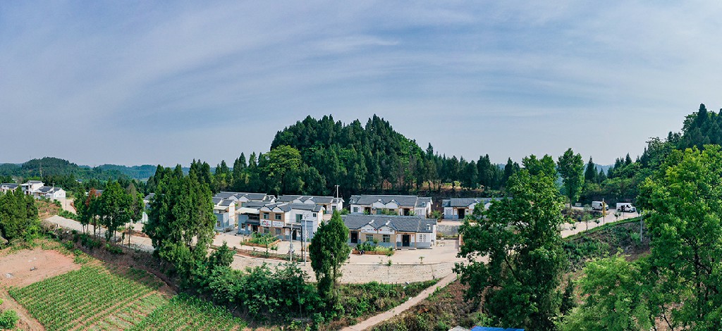 20220703玉峰镇斗笠村web1920-DJI_0529-720.jpg
