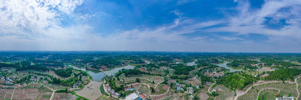 产业扶贫-斗笠村-张昌明-13882536454红脆李产业DJI_0597.jpg