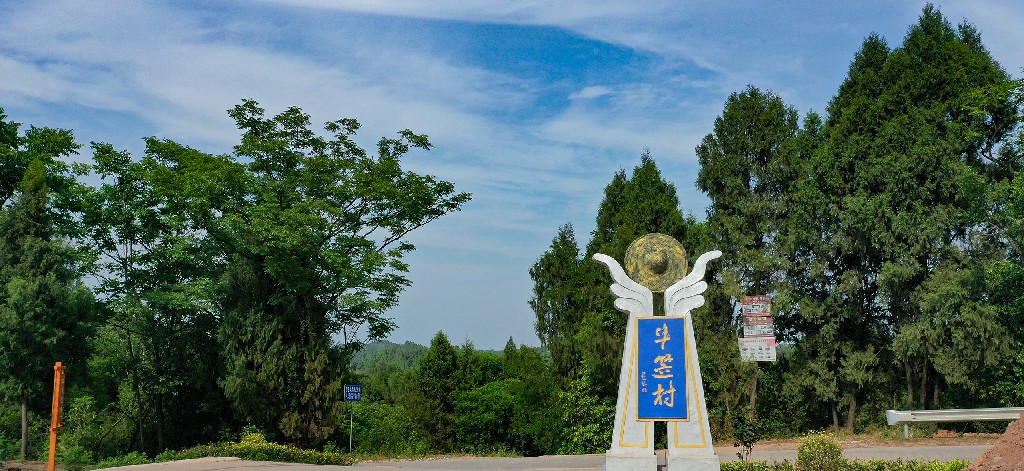 产业扶贫-斗笠村-张昌明-webDJI_0608.jpg