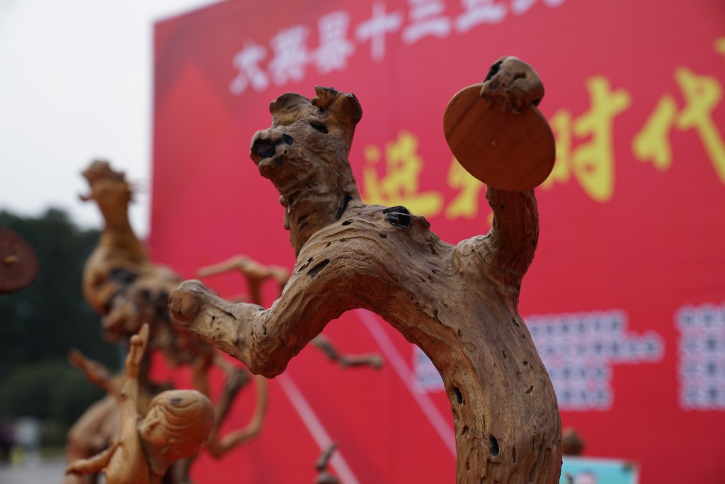 谢氏根雕DSC09481.jpg