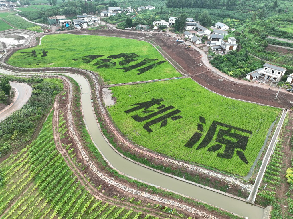 20220702卓筒井为干屏村-宋风古井乡游第一村项目-拍摄张昌明DJI_0025.jpg