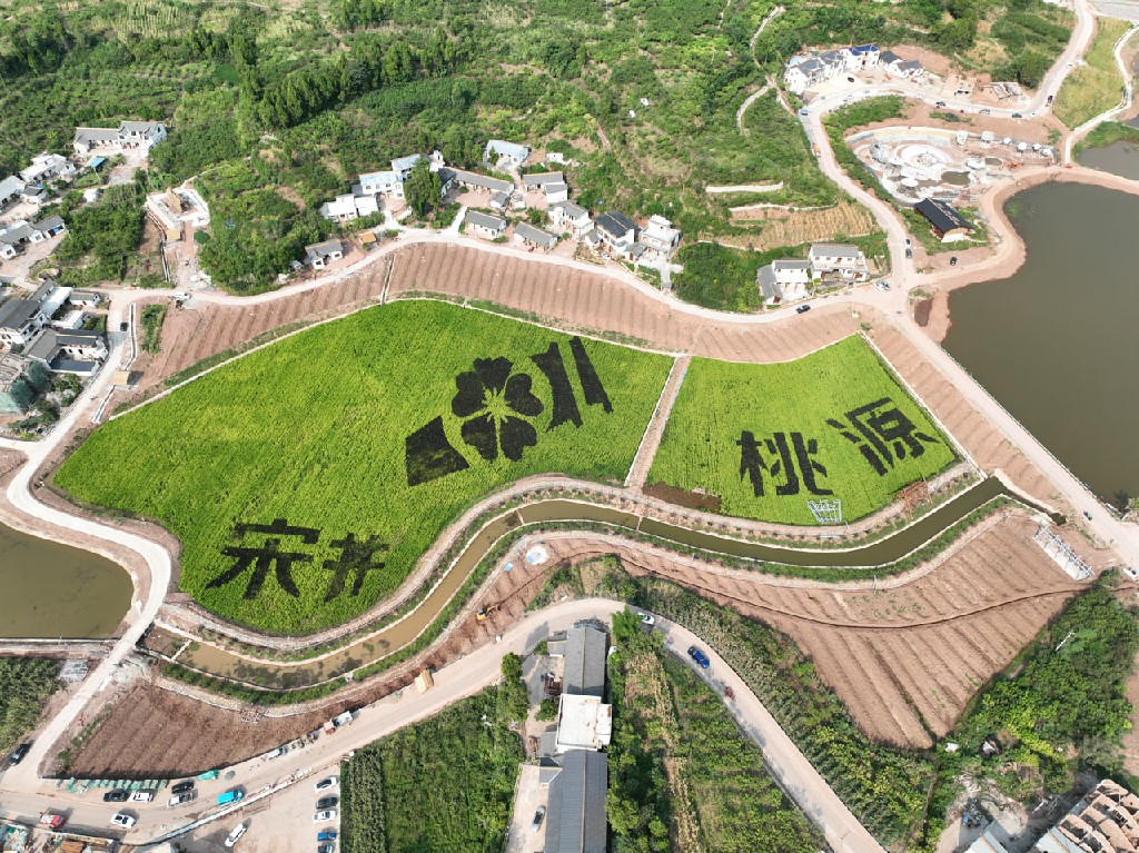20220805卓筒井宋井桃源项目建设现场-拍摄张昌明DJI_0614.jpg