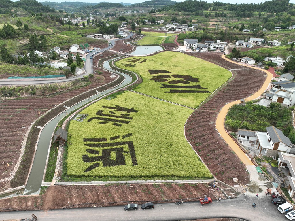 20220831宋井桃源-拍摄张昌明DJI_0248.jpg