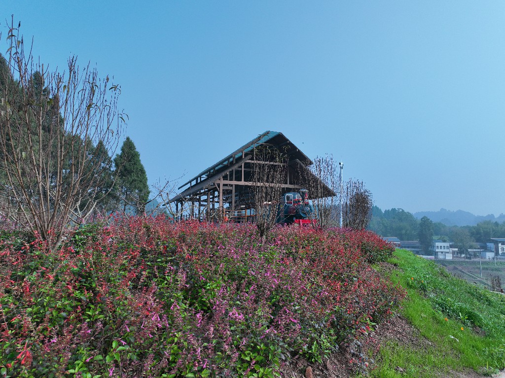 20221125宋井桃源-小火车-拍摄张昌明DJI_0529.jpg