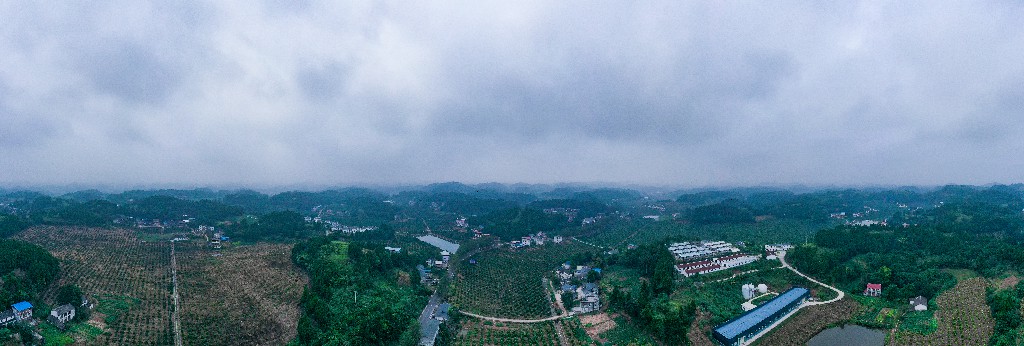 2020-09-11蓬莱镇吊角楼村--万亩甜橙基地-拍摄张昌明-DJI_0525.jpg