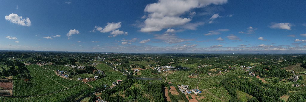 2021-04-24蓬莱镇吊角楼村--万亩甜橙基地-拍摄张昌明-DJI_0770.jpg