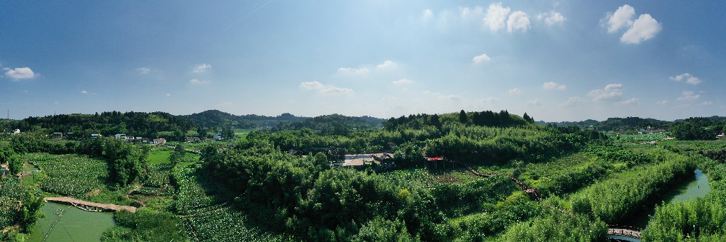 20210713卓筒井--遗址公园--拍摄张昌明DJI_0507.jpg