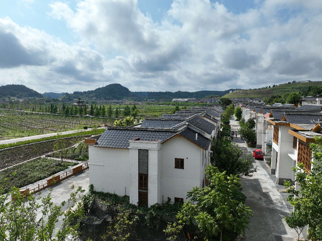 20220806隆盛镇-乐享土门项目-拍摄张昌明DJI_0866.jpg
