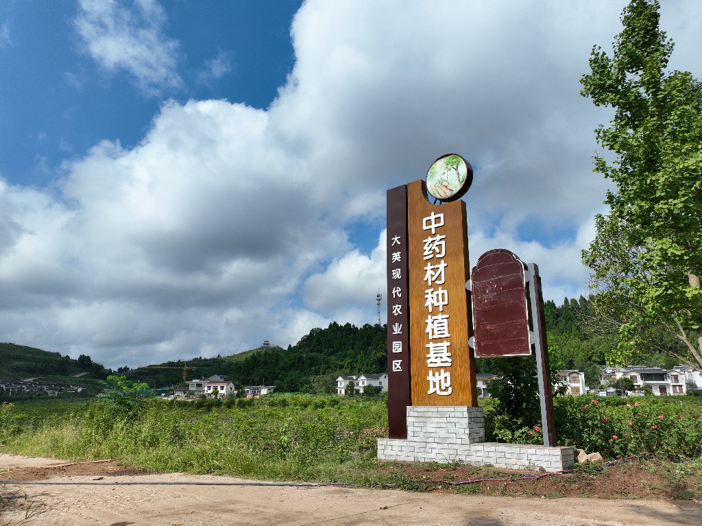20220806隆盛镇-乐享土门项目-拍摄张昌明DJI_0883.jpg