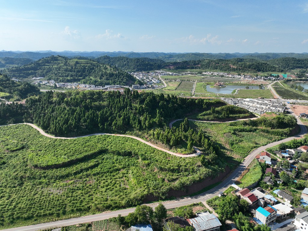 20220806隆盛镇-乐享土门项目-拍摄张昌明DJI_0960.jpg