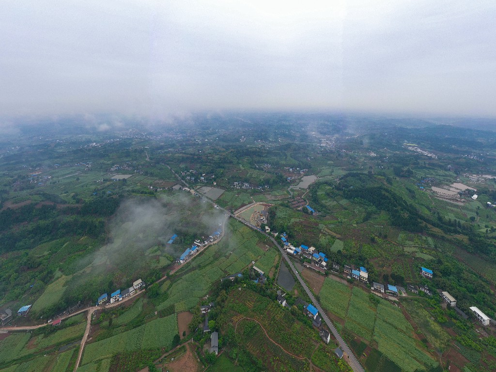20210418卓筒井镇宋井桃蹊游客中心-拍摄张昌明-DJI_0609.jpg
