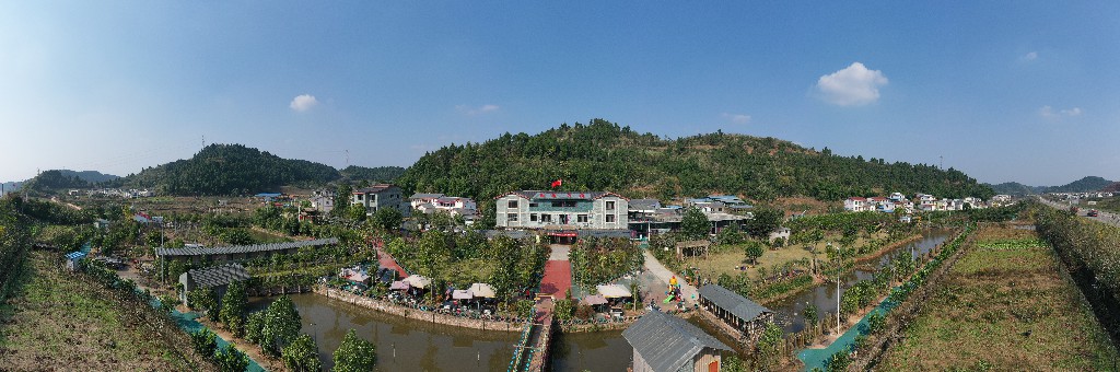20201107红豆杉-军辉农场-黎明村-图片为主DJI_0904.jpg
