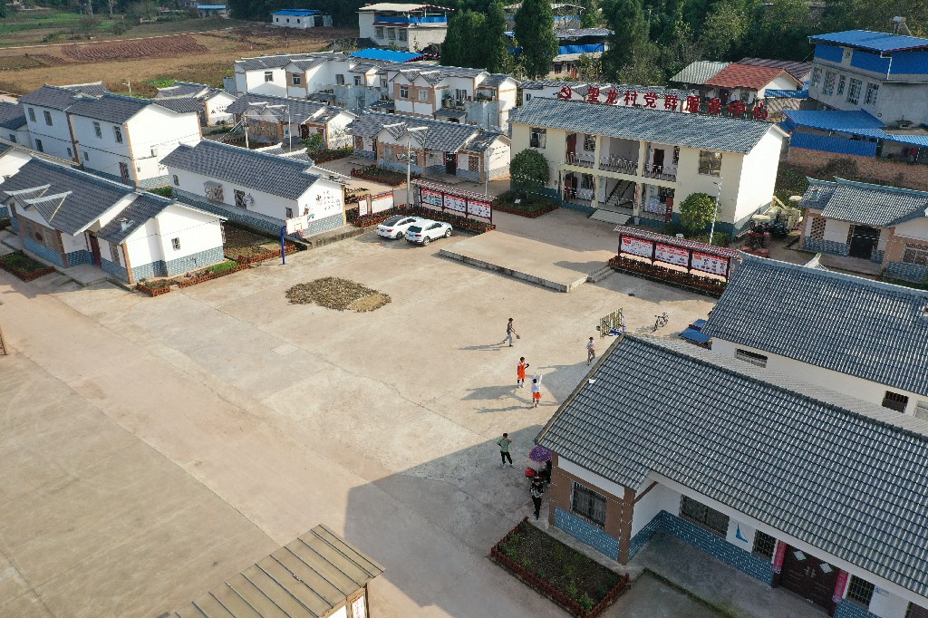 20201107红豆杉-军辉农场-黎明村-图片为主DJI_0949.jpg