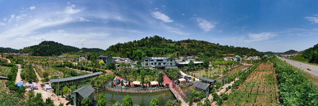 隆盛-军辉农场-张昌明-20200917-DJI_0205.jpg