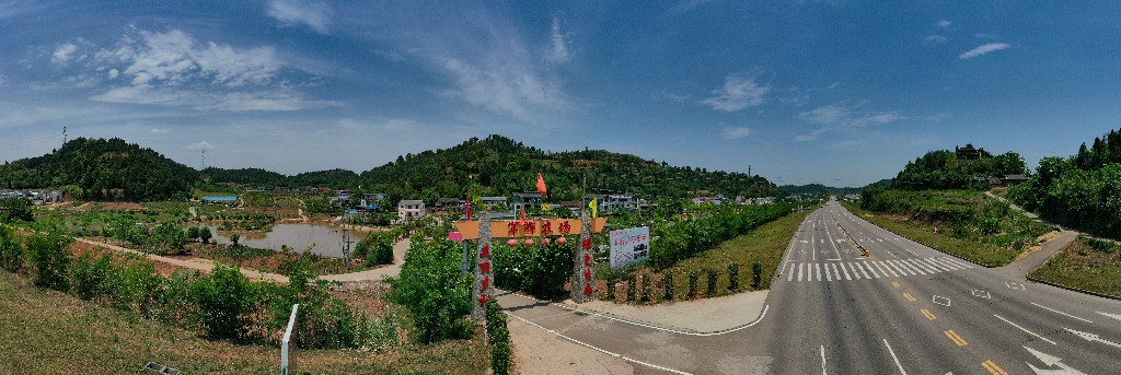 隆盛-军辉农场-张昌明-20200917-DJI_0192.jpg
