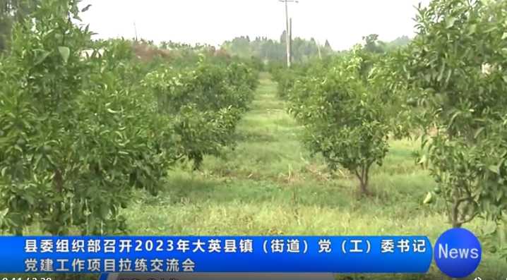 微信截图_20230721101259.png