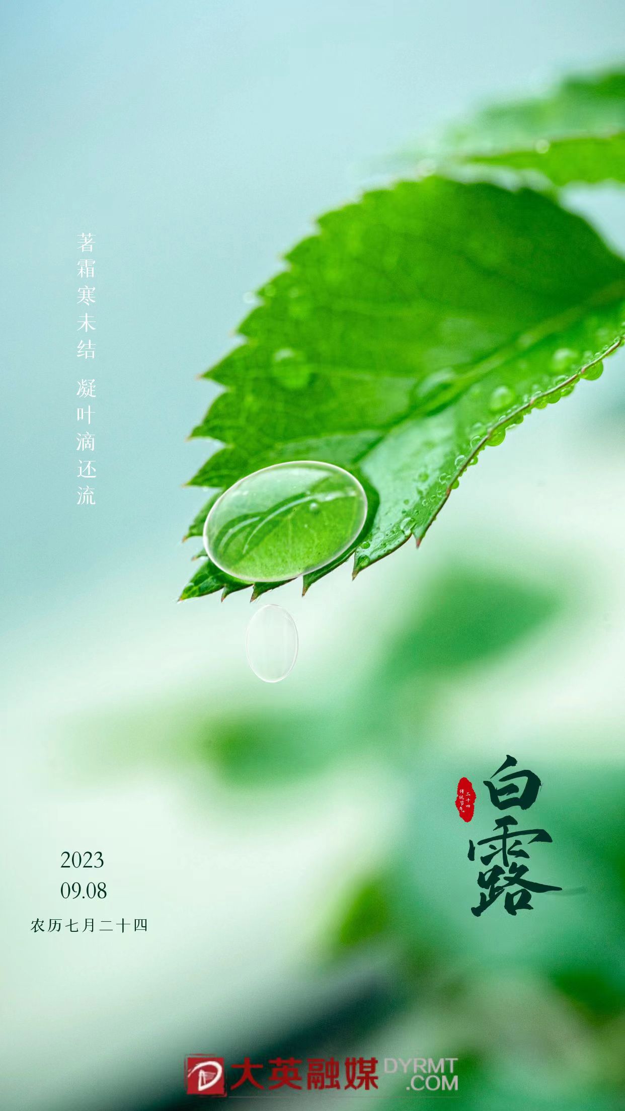 微信图片_20230908100022.jpg