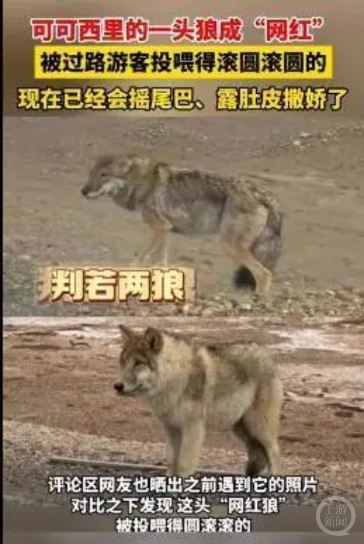 微6.png