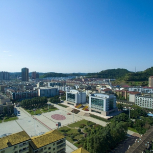 县委五届 141 次常委会会议暨县委应对新冠肺炎疫情工作领导小组会议 县应对新冠肺炎疫 ...