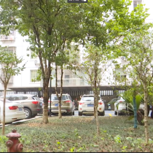 旧貌换新颜 2022年度盐井街道老旧小区改造项目已基本完成